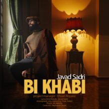 آهنگ جدید جواد صدری به نام بی خوابی